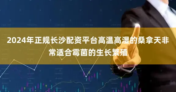 2024年正规长沙配资平台高温高湿的桑拿天非常适合霉菌的生长繁殖