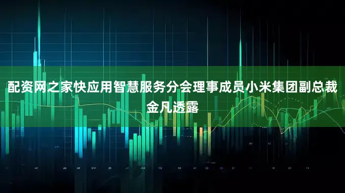 配资网之家快应用智慧服务分会理事成员小米集团副总裁金凡透露