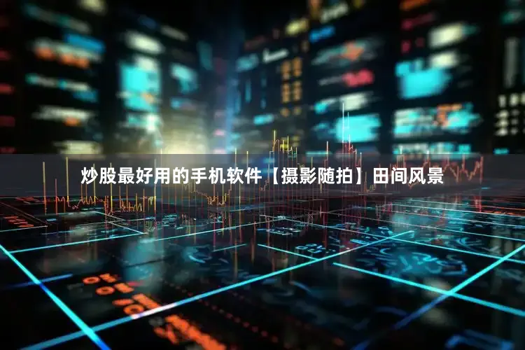 炒股最好用的手机软件【摄影随拍】田间风景
