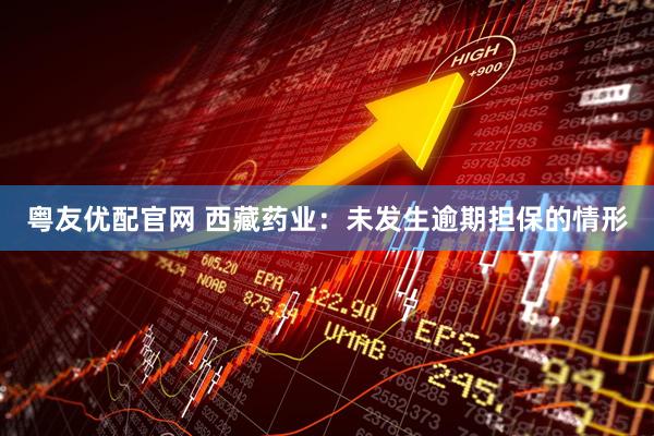粤友优配官网 西藏药业：未发生逾期担保的情形