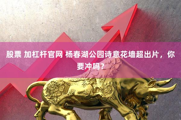 股票 加杠杆官网 杨春湖公园诗意花墙超出片，你要冲吗？