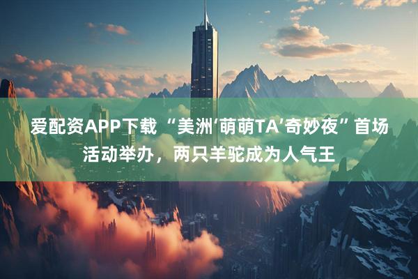 爱配资APP下载 “美洲‘萌萌TA’奇妙夜”首场活动举办，两只羊驼成为人气王